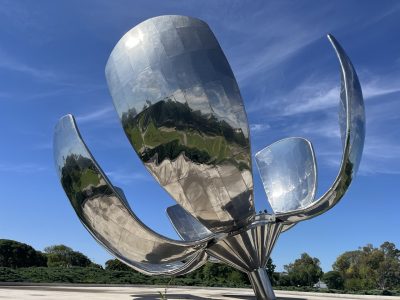 Buenos-Aires-IMG_5203 groot