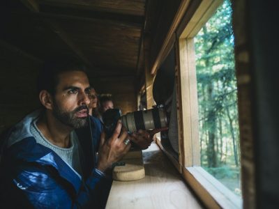 F014068-zelena_slovenija_ciril_jazbec_l1004375-photo-m-Groot