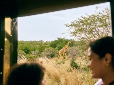 SouthAfrica_Beach&Safari_5 groot