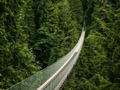 cayetano-gil-IIN1k30xGBw-unsplash groot