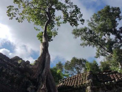 reisverslag-luxe-mekong-riviercruise-vietnam-cambodja-scenic-emerald-26